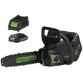 Greenworks GD40TCS Accu-Kettensäge 40 V 25 cm mit Akku und Ladegerät