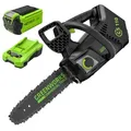 Greenworks GD40TCSK2 Akku Kettensäge mit Akku und Ladegerät, bürstenlosem Motor, 25 cm Blattlänge, 12 m/s Kettengeschwindigkeit, 2,4 kg, automatischer Kettenschmierung, Rückschlagschutz, 40V 2Ah Akku