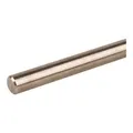 DEHN Anschlussfahne NIRO (V4A) Rd 10mm L1,5m AF 10 V4A 1500