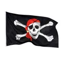 Piraten Flagge Fahne Pirat Party 90X150 Piratenflagge 90X150cm Hissflagge Ösen