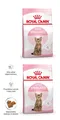 ROYAL CANIN Kitten Sterilised Trockenfutter für Katzen 2x2 kg