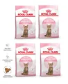 ROYAL CANIN Kitten Sterilised Trockenfutter für Katzen 4x2 kg