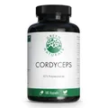 2x GREEN NATURALS Cordyceps sinensis Kapseln 180 ST