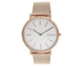 SKAGEN Quarzuhr SKW2784