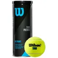 Wilson Tennisbälle 2026 - Wählen Sie Menge / Modell Mengenrabatte