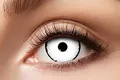 Zoelibat Eyecatcher 84092841.e05 - Farbige Sclera Kontaktlinsen, 1 Paar, für 6 Monate, Weiß, Karneval, Fasching, Halloween