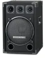 Super Party/DJ-Box 2-Wege-Box mit 12“ Subwoofer 300W RMS robustes Holzgehäuse