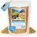 Wasserflöhe getrocknet 100 g – Daphnia Fischfutter Aquarium geprüfte Qualität