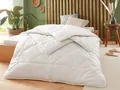 Badenia Trendline Eco Steppbett Kamelhaar Duo, 135 x 200 cm - B-Ware neuwertig