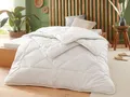 Badenia Trendline Eco Steppbett Kamelhaar Duo, 135 x 200 cm - B-Ware sehr gut