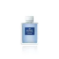Banderas Perfumes - King of Seduction - Eau de Toilette Spray für Herren, Maskuliner, Intensiver und Energetischer Duft mit Bergamotte und Apfel - 200 ml