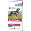 Futter Eukanuba Daily Care Erwachsener Lachsfarben Fisch 12 kg