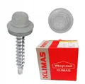 Selbstschneidende Trapezblechschrauben 4,8 x 35 mm RAL 9006 Weißalumini 250 St.