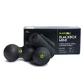 BLACKROLL® BLACKBOX STANDARD, 4er SET inkl. Übungskarte und DVD