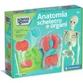 Clementoni Anatomia Scheletro e Organi (19414)