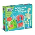 Gadget - Clementoni Anatomia Scheletro E Organi -D- Clementoni