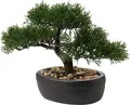 Naturgetreuer Kunstbonsai Zeder - Dekorative Kunstpflanze für Büro und Zuhause
