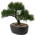 Briful Kunstbonsai Künstliche Pflanze Zeder Kiefer Podocarpus Keramik Übertopf