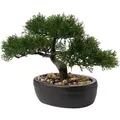 Kunstbonsai Kunstpflanze Bonsai Zeder Kiefer Podocarpus Dekorativer Topf