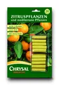 Düngestäbchen extra dick Zitruspflanzen & mediterane Pflanzen 20 Stück VE