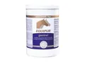EQUIPUR EQUIPUR gastral 1 kg