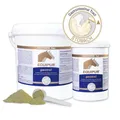 EQUIPUR - gastral 1 kg (Pulver) Pferd | beruhigen / stärken die Magenschleimhaut