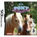 Pony Friends (Nintendo DS)