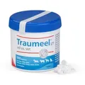 Traumeel LT ad us.vet.Tabletten 500 St
