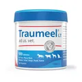 Traumeel LT ad us.vet.Tabletten Inhalt: 500 St