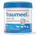 Traumeel LT ad us. vet. Tabletten