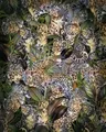 Vlies-Fototapete KOMAR WILD CATS, 4 Teile, BxH 200 x 250 cm
