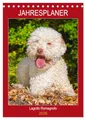 Jahresplaner Lagotto Romagnolo (Tischkalender 2026 DIN A5 hoch), CALVENDO Monatskalender