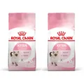 ROYAL CANIN KITTEN Trockenfutter für Kätzchen 20 kg (2 x 10 kg)