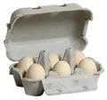 Erzi Eier, weiß (6 Stück im Eierkarton)