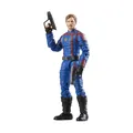 Hasbro Fans Marvel Legends Series: Guardians of the Galaxy Volume 3 - Star-Lord
