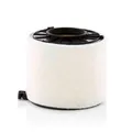 C 17 011 MANN-FILTER Luftfilter