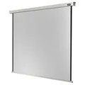 celexon elektrische Rolloleinwand Professional Motor 1:1, 120 x 120 cm Projektionsfläche