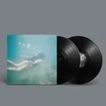 Windswept Adan | Ichiko Aoba | Vinyl / Schallplatte | 2026 | hermine