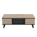CALICOSY - Niedriger Tisch mit 2 Schubladen und 2 Ablagen L106,6 cm - Wayne