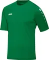 Trikot Team KA JAKO