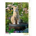 CALVENDO Puzzle CALVENDO Puzzle Rote Katze auf Holzfass im blühenden Garten 1000 Teile Lege-Größe 48 x 64 cm Foto-Puzzle Bild von Katho Menden, 1000 Puzzleteile