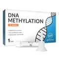 GetTested DNA-Gehirngesundheitstest, Labortest für zuhause. Analyse von 288 Genen zu mentaler Gesundheit, Stimmung, Gedächtnis und Stress per DNA-Speicheltestkit.