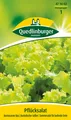 Pflücksalat Australische Gel Samen von Quedlinburger Saatgut