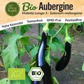 Auberginen Samen (BIO) - 12 Samen Gemüsesamen Auberginensamen Violetta Lunga 3