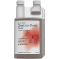 1 L Quattro Dolor Forte