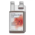 NutriLabs Quattro Dolor Forte 1 Liter | für Pferde | Teufelskralle, Ingwer & Yuc