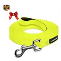 Wasserdichte Hundeleine 10m Biothane Karabiner Freilauf