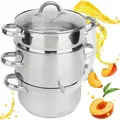 Dampfentsafter 5 L KARL HAUSMANN Fruchtentsafter Induktion 5 L Obst Saftpresse