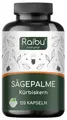 Saw Palmetto (Sägepalme) Kapseln, 20:1 Extrakt, Hergestellt in Deutschland - RAIBU