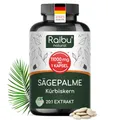 Saw Palmetto Extrakt (Sägepalmenextrakt) mit Kürbiskern Kapseln - 650 mg Extrakt pro Kapsel davon 27.5 mg Phytosterole (5%) - Hochdosiertes Sägepalmextrakt + Kürbiskernextrakt - Ohne Zusätze